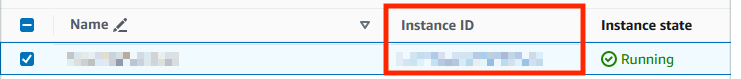 AWS Instance ID screenshot